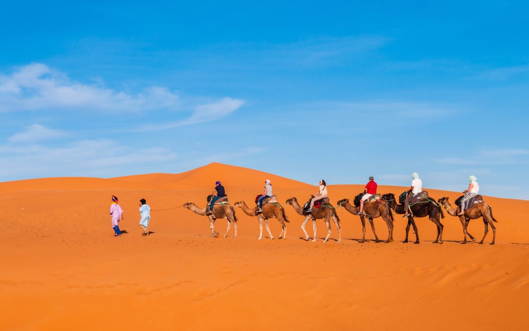 Caravan trek into desert