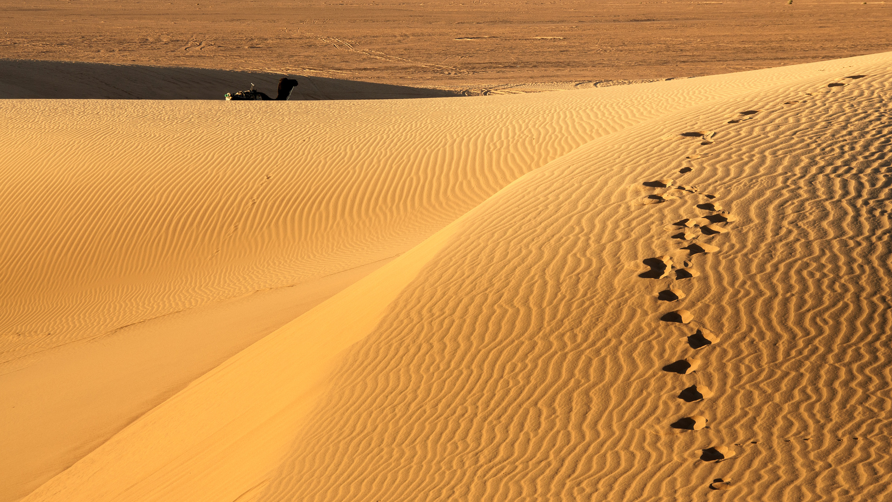 Merzouga Wüstensafari (Marrakesch nach Fes)