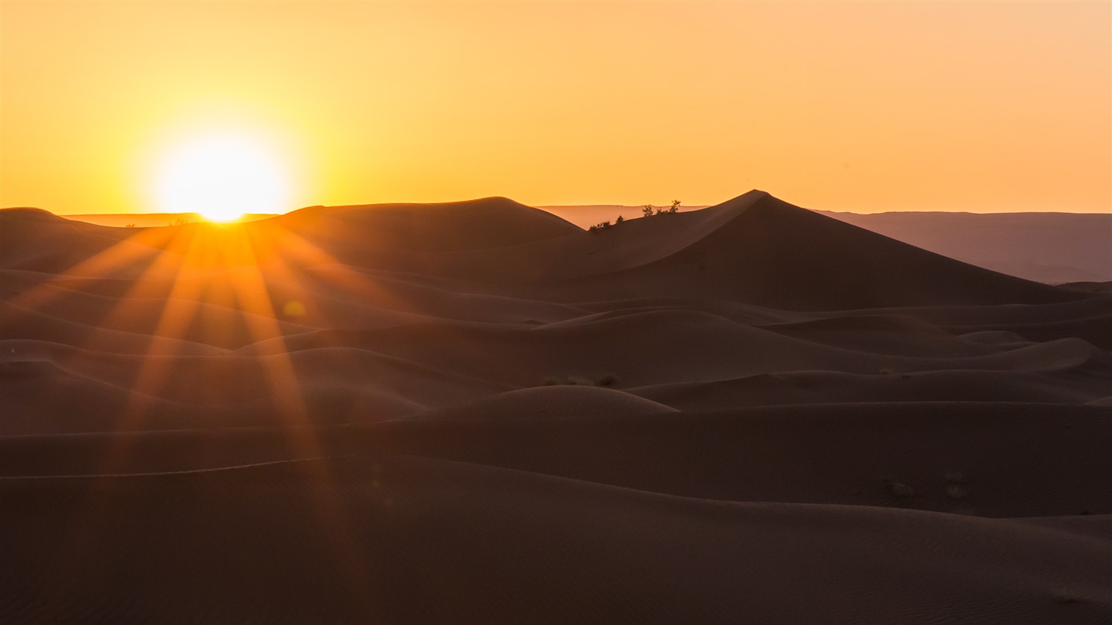 Großes Karawanentrekking in der Sahara