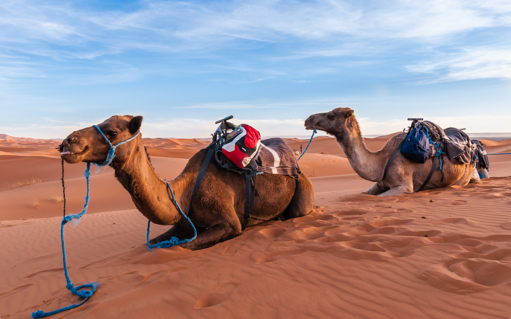 Merzouga desert safari_Travel Tamegroute_Travel Tamgroute